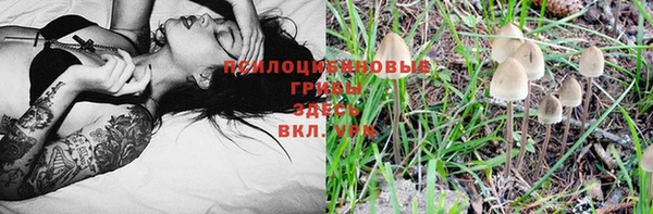 ECSTASY Армянск