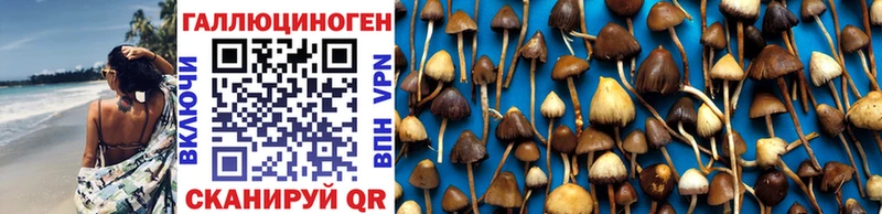 Галлюциногенные грибы мицелий  купить закладку  MEGA вход  Сим 